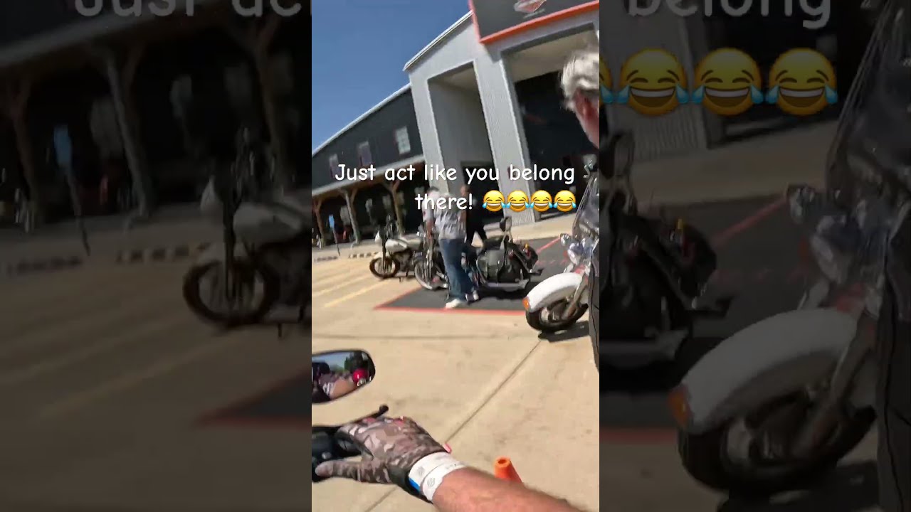  Motovlog Motorcycle Harleydavidson Harley Motovlogging Roadking Streetbob Testride