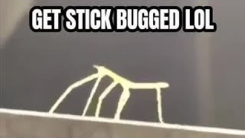 Get Stick Bugged lol for 1 hour