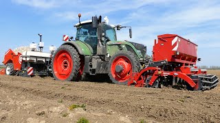 Planting Potatoes | Fendt 724 vario + Miedema CP42 all in one planter | Peperstraten