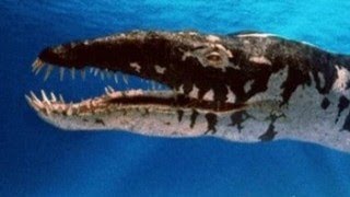 Walking With Dinosaurs Liopleurodon Tribute / Tormentor : W.A.S.P.