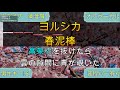 春泥棒/ヨルシカ【カラオケ/神再現率】男性キー♭6/オフボーカル【高音質/生演奏】【音程バー】