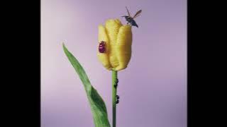 あいみょん - そんな風に生きている (Official Audio)【#あいみょんMVリクエスト】