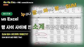 (MS Excel) 소계 한번에 구하기