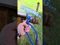 How to Tie Running BOWLINE Knot #knot #shorts #outdoors