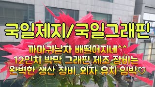 국일제지/국일그래핀 - [12월 1일 오전] 리밸런싱으로 의심되는 어제와 오늘/기업설명회 마치자 대량 거래 동반 가격 조정/파랑새는 내 안에~