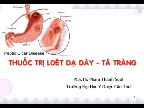 DƯỢC LÝ [CTUMP] - Thuốc Điều Trị Loét Dạ Dày - Tá Tràng | PGS.TS Phạm Thành SuôL