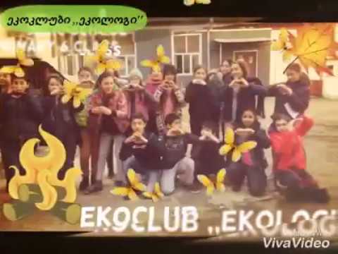 ალაგებენ ეზოს