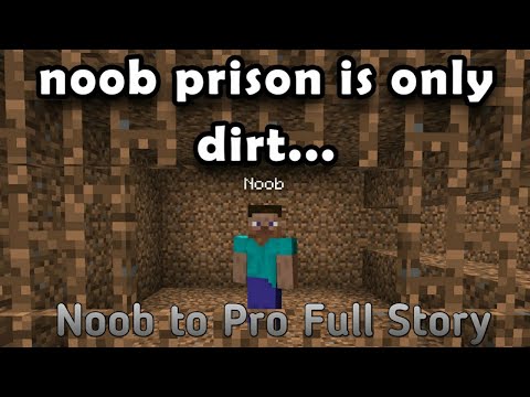 Noob to Pro Minecraft Full Story | Evbo