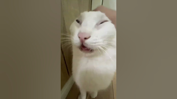The cat was enjoying when the woman pet it
