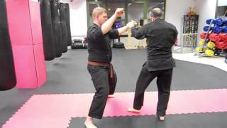 Shuto Uke Basis Drill