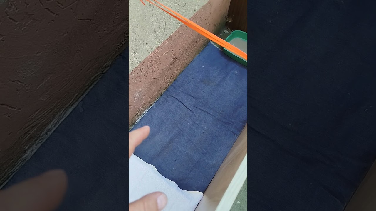 ЯСЛИ ДЛЯ НАШИХ ПИТОМЦЕВ!