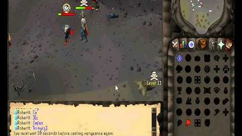 Decimation 317 Private Server ~ Pking ~ 