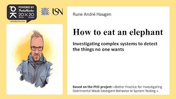 Rune Haugen – Powered by PechaKucha: Investigating Complex Systems to Detect the Things No One Wants