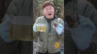 살아있는 전복을 200도 끓는 기름에 통째 튀겼더니 맛이 의외네!! - Youtube