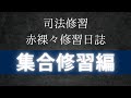 #136【司法修習赤裸々修習日誌③】集合修習〔民事弁護〕〔刑事弁護〕〔民事裁判〕〔刑事裁判〕〔検察〕