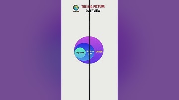 The Easy Way to Read a P&L Report Without Getting Confused
