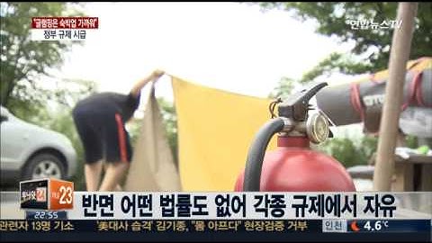 글램핑 무늬만