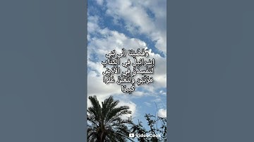 القران الكريم بصوت الشيخ ياسر الدوسري