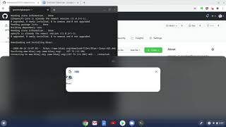 Installing BlueJ on Your Chromebook
