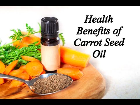 Health Benefits of Carrot Seed Oil are amazing, including being a powerful antibacterial agent.