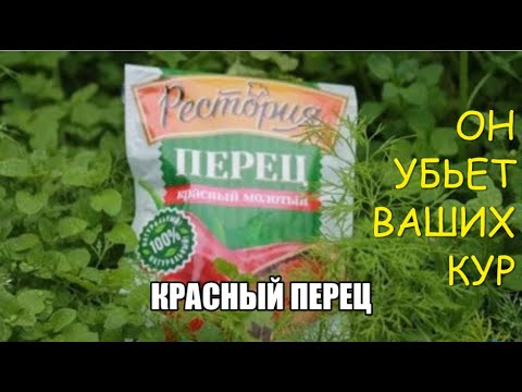 ГОРЬКИЙ --- УБИЙЦА КУР.