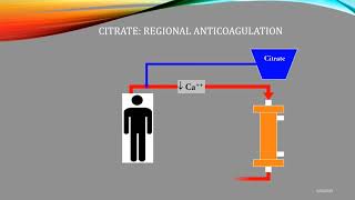 Citrate Anticoagulation Quick Review