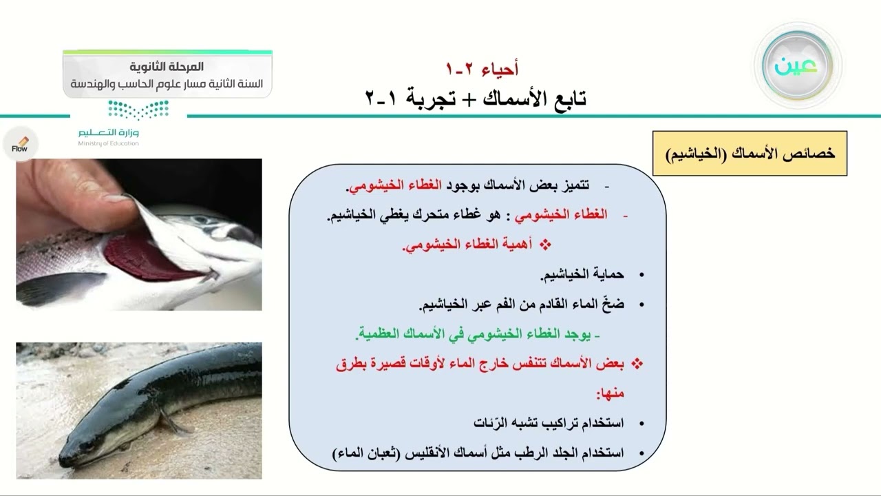 تابع الأسماك + تجربة 1-2 - الأحياء (2-1) - مسار علوم الحاسب والهندسة - السنة الثانية