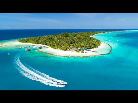 Video: Insula Kuramathi Din Maldive