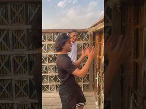 حمام مين اللي طير ده كيتو مصر