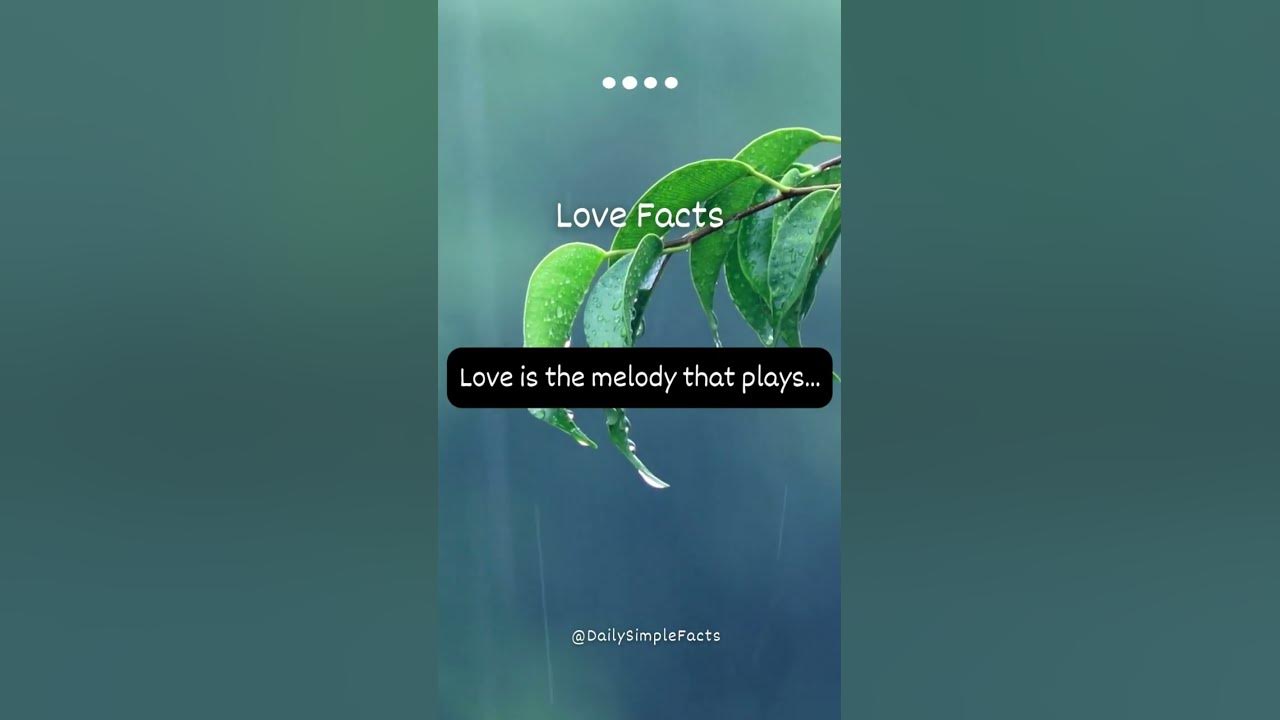 Love Is A Melody YouTube love-is-a-melody-youtube