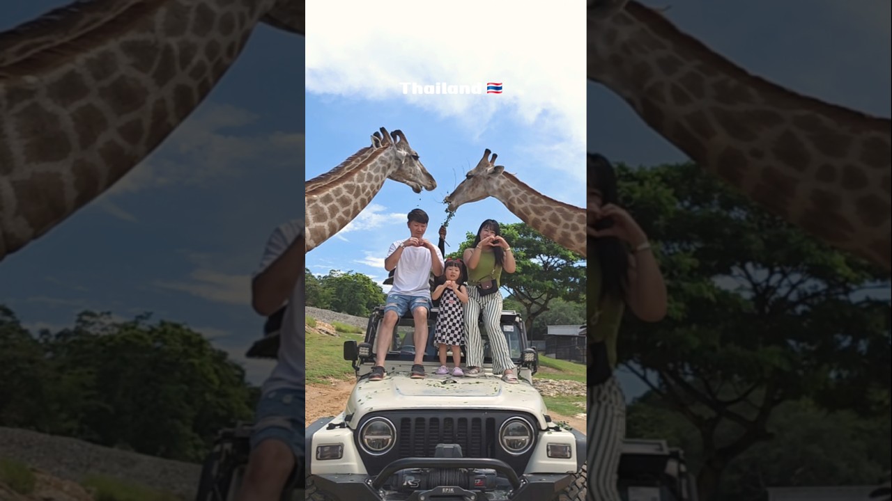 태국 여행 15초 요약 #가족여행 #shorts