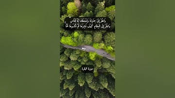 آية "أو كالذي مر على قرية وهي خلوية على عروشها" من سورة البقرة