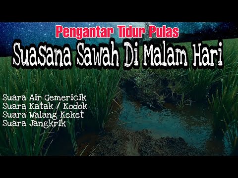 SUASANA SUARA SORE HARI DI PEDESAAN