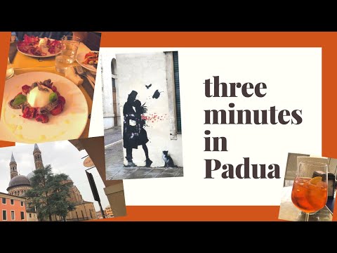 eating around Padua in 3 minutes | Padua travel vlog 2022