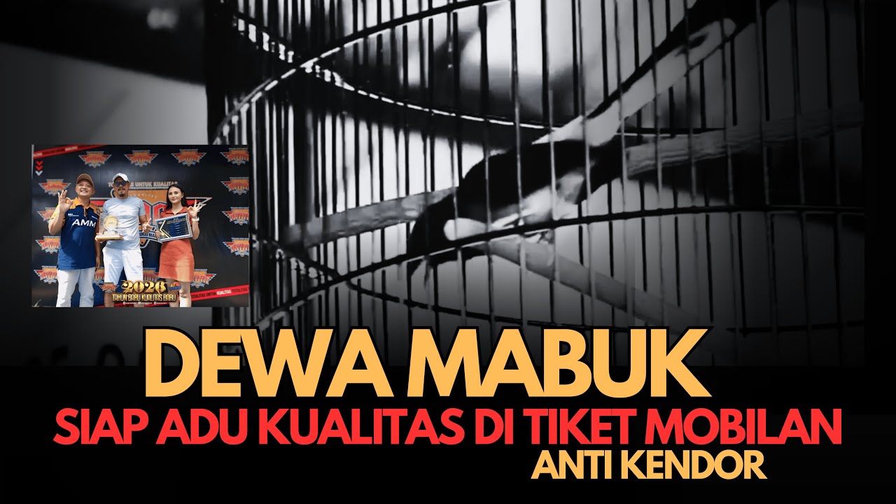 SUPER🔥🔥🔥 Murai Batu DEWA MABUK Siap Jalan - Jalan Lintas Pulau