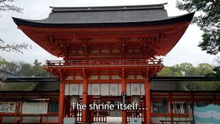Rainy Day in Kyoto - 4/3/2024 Japan Vlog