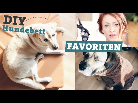 favoriten-hundezubehör-|-diy-hundebett-selber-machen-|-bademantel-für-hunde