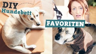 FAVORITEN Hundezubehör | DIY Hundebett selber machen | Bademantel für Hunde