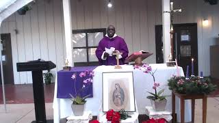 Holy Mass 12/02/2020
