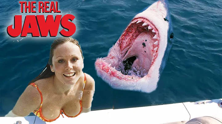 The Matawan Man-Eater | THE REAL LIFE JAWS