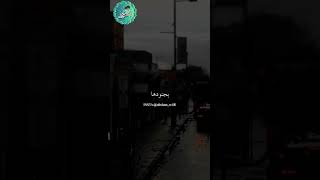 إذا ذاقت بك الدنيا تذكر أن هناك رب لا يعجزه شيئ في الأرض ولا في السماء || الشيخ بدر المشاري 💚