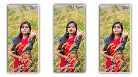 New Timli Status 2022||Dj Remix Gujarati Timli Whatsapp Status 2022||New Timli Status #DjBharatHd