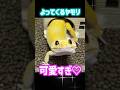 よってくるヤモリが可愛くないわけがない #爬虫類 #reptiles #shorts #レオパ #leopardgecko #ふじぴこ