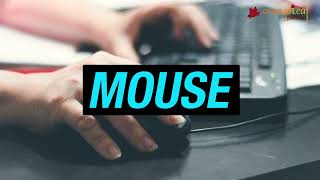 THE KEYBOARD AND THE MOUSE | CLASS 2 | CHAPTER 5