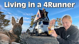 CHILL EVENING LIVING IN A 4RUNNER IN COLORADO | hardsided rooftop dwelling