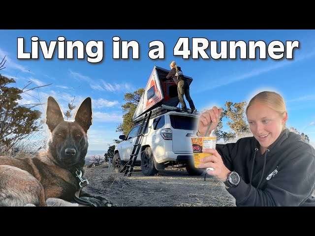 CHILL EVENING LIVING IN A 4RUNNER IN COLORADO | hard-sided rooftop dwelling class=