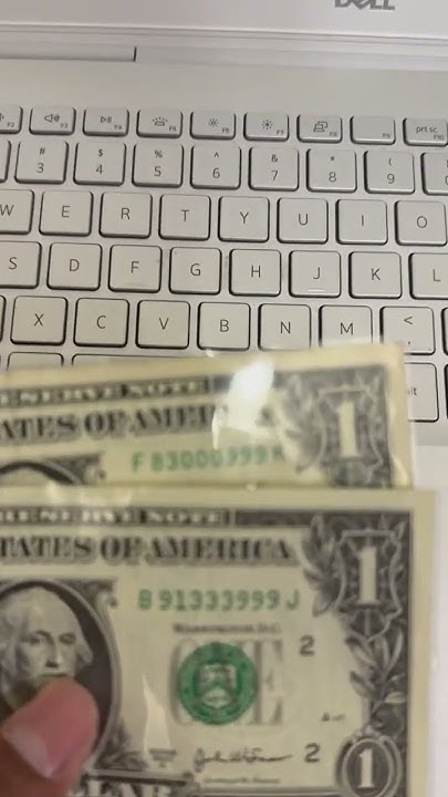 2-dollar-to-17-money-money-bronx-moneytok-2dollarbill-nyc
