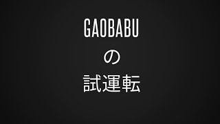 Gaobabuキャリボ風防試運転！（動画投稿再開！！アラフィフ男が、チャンネル登録者数1000人を目指す！！）