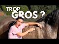 Mon cheval est trop gros… et c'est un problème