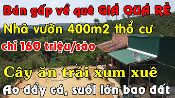 Bán nhà vườn Lâm Đồng 400m2 đất thổ cư dày cây ăn trái ao suối lớn, 2.4ha bán lẻ giá cực rẻ 160tr/s